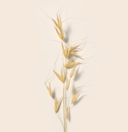 Bálsamo desmaquillante de avena y fitoesteroles